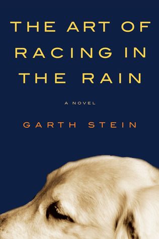 Download The Art of Racing in the Rain PDF by Garth Stein