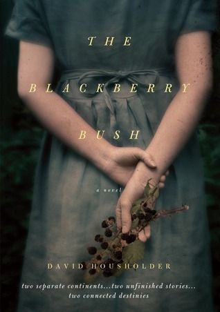 Download The Blackberry Bush PDF by David Housholder