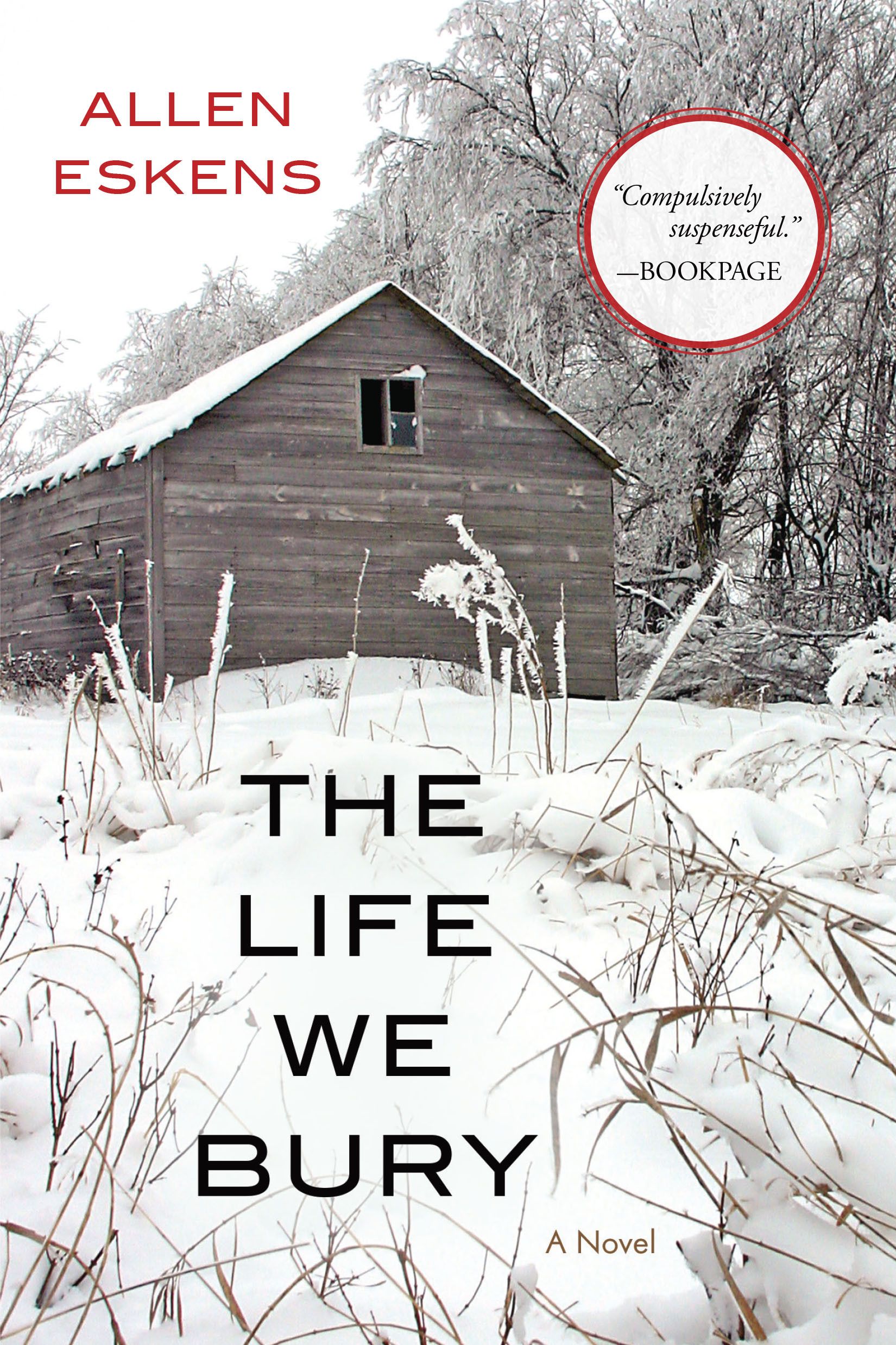 Download The Life We Bury PDF by Allen Eskens