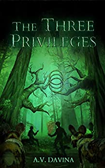 Download The Three Privileges PDF by A.V. Davina